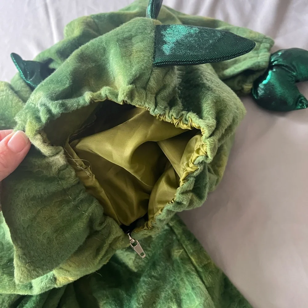 Green Dinosaur Costume